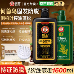 霸王 何首乌固发防脱1L+防脱洗发液380ml