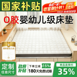 能见度 榻榻米床垫1.5x2米天然椰棕环保家用卧室棕垫护腰护脊榻榻米垫定 定制任