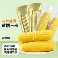 王老宝 东北糯玉米 黄糯10支包装随机 单支220g以上