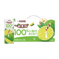 一甸园 100%小青柠复合果汁 200ml*10盒