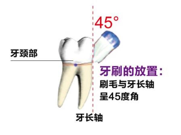 学会巴氏刷牙法,省下几万块看牙钱!