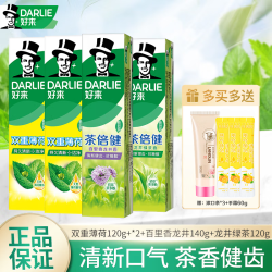 好来 茶倍健龙井绿茶双重薄荷牙膏组合装 500g