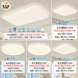 雷士 LED全光谱护眼吸顶灯简约现代客厅灯卧室灯具 柠月四室一厅