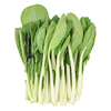 自然之星 有机鹤斗白菜 250g