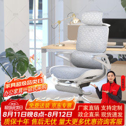 妍苒 人体工学椅可躺电脑椅办公椅久坐护腰|165°后仰|5D扶手 网格灰