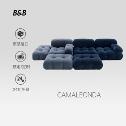 B&B ITALIA B&B ltalia意大利原装进口CAMALEONDA模块化簇绒布艺沙发 预定款8个月