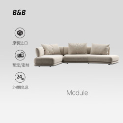 B&B ITALIA B&B ltalia意大利原装进口模块布艺沙发 预定款8个月