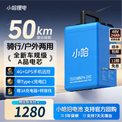 小哈 新国标电动车锂电池48V24AH全新A品电芯电瓶车电池户外电源两用 48V24Ah 含3A品头充电器+新国标线