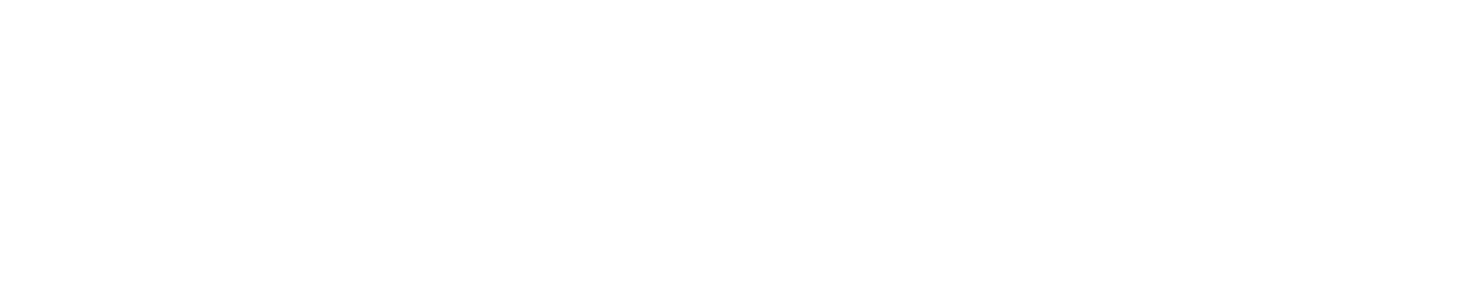 乐奇 Rokid