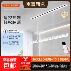 邦先生平替电动晾衣架智控隐形一线天全自动双杆吊顶晾衣机 单杆遥控+照明｜月光白 1.8米