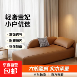 京喜 现代高级轻奢贵妃椅沙发懒人弧形贵妃沙发小户型卧室客厅休闲躺椅