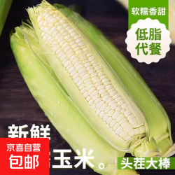 京东 新鲜白糯玉米山东头茬现摘水果玉米生鲜买菜蔬菜早餐快递包邮 新鲜玉米5斤 净重