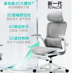 黑白调 人体工学电脑椅 P2pro系列 麦肯基4D腰托+4D联动扶手+3D颈枕  4级气杆 气压升降 【热卖TOP】P2Pro二代！