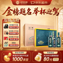 迎驾贡酒 迎驾洞藏16浓香型白酒52度520mL*2瓶*4盒整箱礼盒装（共8瓶）