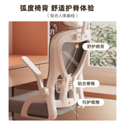 电脑椅家用人体工学椅旋转办公椅舒服久坐电竞椅宿舍学习靠背椅 白框灰网-海绵+头枕
