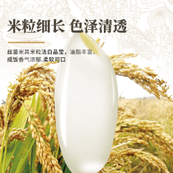 鄱阳湖 大米丝苗米500g小规格品鉴米 猫牙米5kg长香米南方籼米10斤装 鄱阳湖大米500g