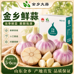 金乡大蒜 2026新货山东金乡紫皮大蒜 （含箱2000g+） 爆款推荐