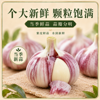 金乡大蒜 紫皮大蒜头 5-6cm 2000g