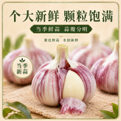 金乡大蒜 紫皮大蒜头 5-6cm 2000g