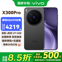 vivo 蔡司2亿APO超级长焦AI影像 5G手机+vivo尊享礼盒套装  纯粹黑 256GB 12GB