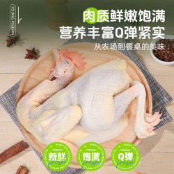 大用 新鲜三黄鸡 整只约850g/只  3只装（1.7斤*3）
