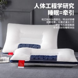 俞兆林 决明子薰衣草枕头单人双人荞麦助睡眠护颈椎枕芯家宿舍学生