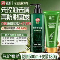 霸王 防脱洗发液500ml+防脱调理发膜180ml