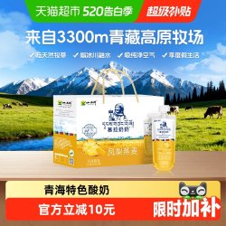 小西牛 青藏奶源慕拉酸奶160g*10袋