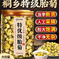 朕养堂 胎菊特级正品菊花茶去养火一级桐乡杭菊官方店旗舰店肝火茉莉花茶