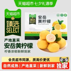 江昊阳 猫超臻选江昊阳四川安岳黄柠檬尤力克当季现摘新鲜水果小金桔整箱