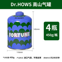 Dr.HOWS 韩国户外扁便携式户外高原高山野外野炊气罐 高山气450*4