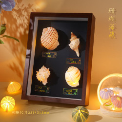 木易 天然贝壳海螺灯创意手工diy发光小夜灯卧室桌面摆件情侣生日礼物 贝壳小夜灯--珊瑚海藏 (成品)