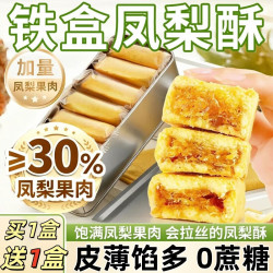 巧鲜尝 凤梨酥铁盒装 320g