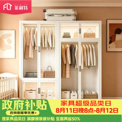 菲利特 钢制衣柜 卧室家用出租房衣柜小户型衣橱 衣柜