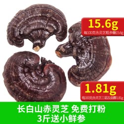 林岛 长白山灵芝 灵芝24.8元/斤  免费打粉