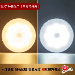 艾勒丝汀 声控小夜灯夜间 顶配款（2只装 多款可选）