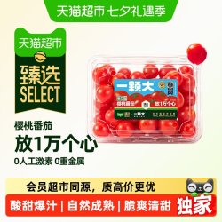 一颗大 樱桃番茄精品粒装酸甜爆汁基地 精品散粒458g*2盒