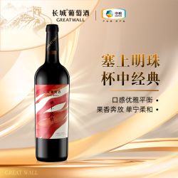 长城葡萄酒 长城塞上风情赤霞珠干红葡萄酒750ml单支装自饮佐餐