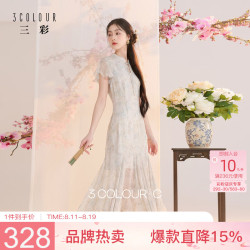 三彩 2026夏季新款新中式连衣裙雪纺绣花中长裙C