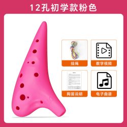SWAN 入门陶笛乐器12孔AC中音小学生专用儿童初学者十二孔树脂