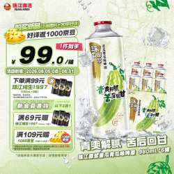 珠江啤酒 10.8度 珠江原浆苦瓜青瓜味啤酒 980mL*6罐 整箱装 京东自营