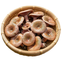 京鲜生 云南铜绿菌 野生菌菇 500g