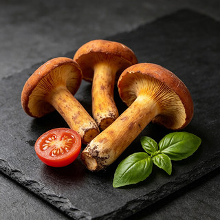 京鲜生 云南奶浆菌 500g 新鲜野生菌菇