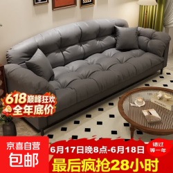 新款山茶花沙发客厅小户型出租房卧室双三人法式直排布艺懒人沙发 山茶花