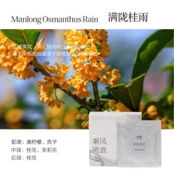宋朝 听海车载香薰礼盒高级汽车挂件香水持久出风口