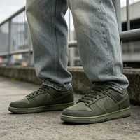 百亿补贴：NIKE 男鞋DUNK RETRO复古滑板鞋低帮薄底运动休闲鞋IB7746-300