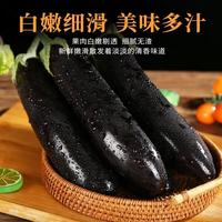 现摘 绿把茄子 2斤 净重