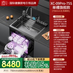 栖川 日本栖川集成水槽洗碗机一体14套09Pro分层洗强排5星级消毒石墨烯