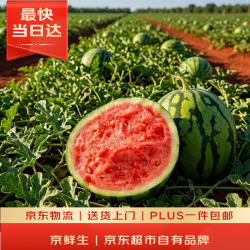 京鲜生 无籽麒麟瓜 2.5kg