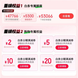 京东 白条分期购权益包 领满399-2/899-5/2000-10/4000-20元白条分期立减券等